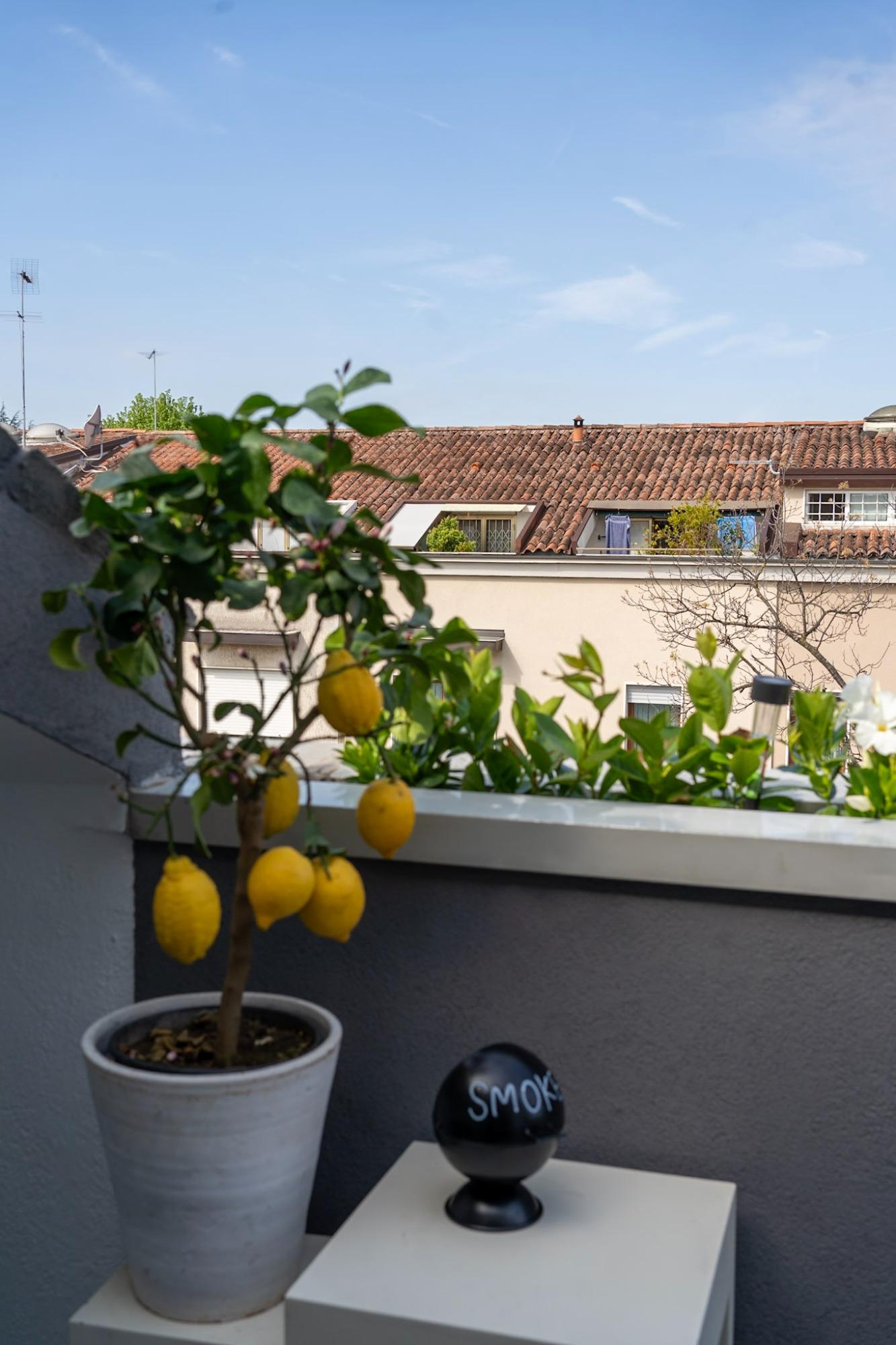Terrazza anteriore