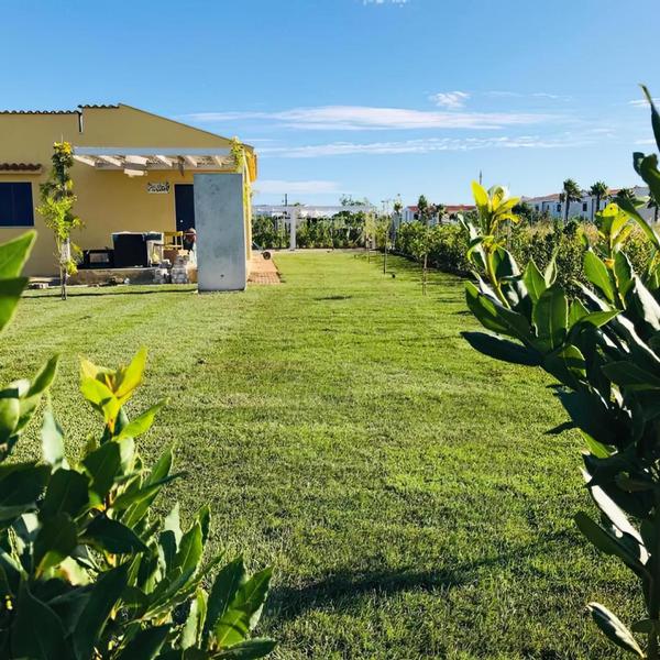  Maison Chopin & Brahms Haus