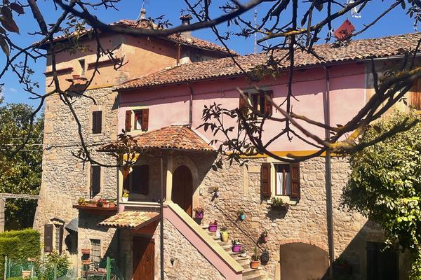 B&B Camelia