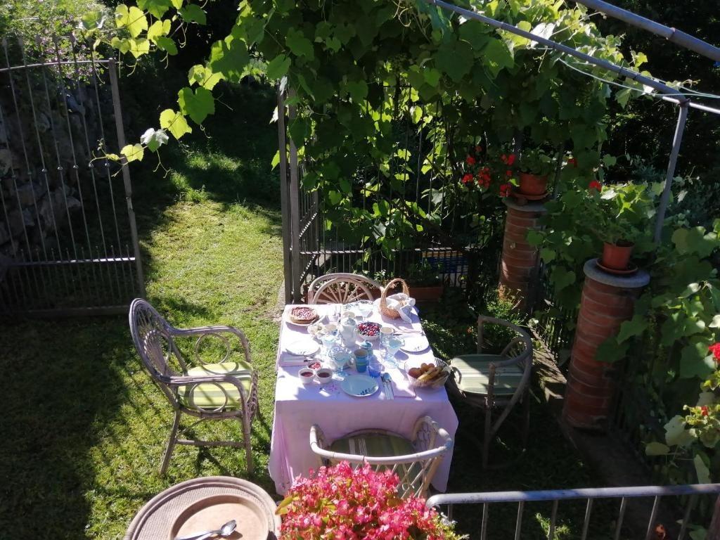 Giardino