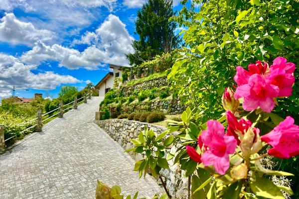 B&B Antiche Pietre
