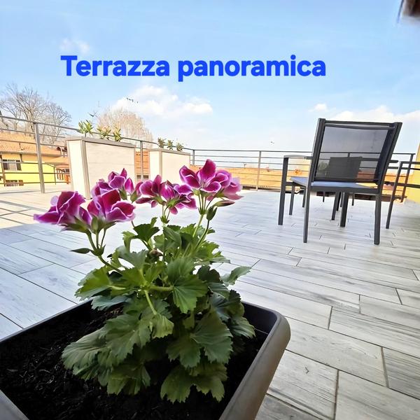  Il Borgo