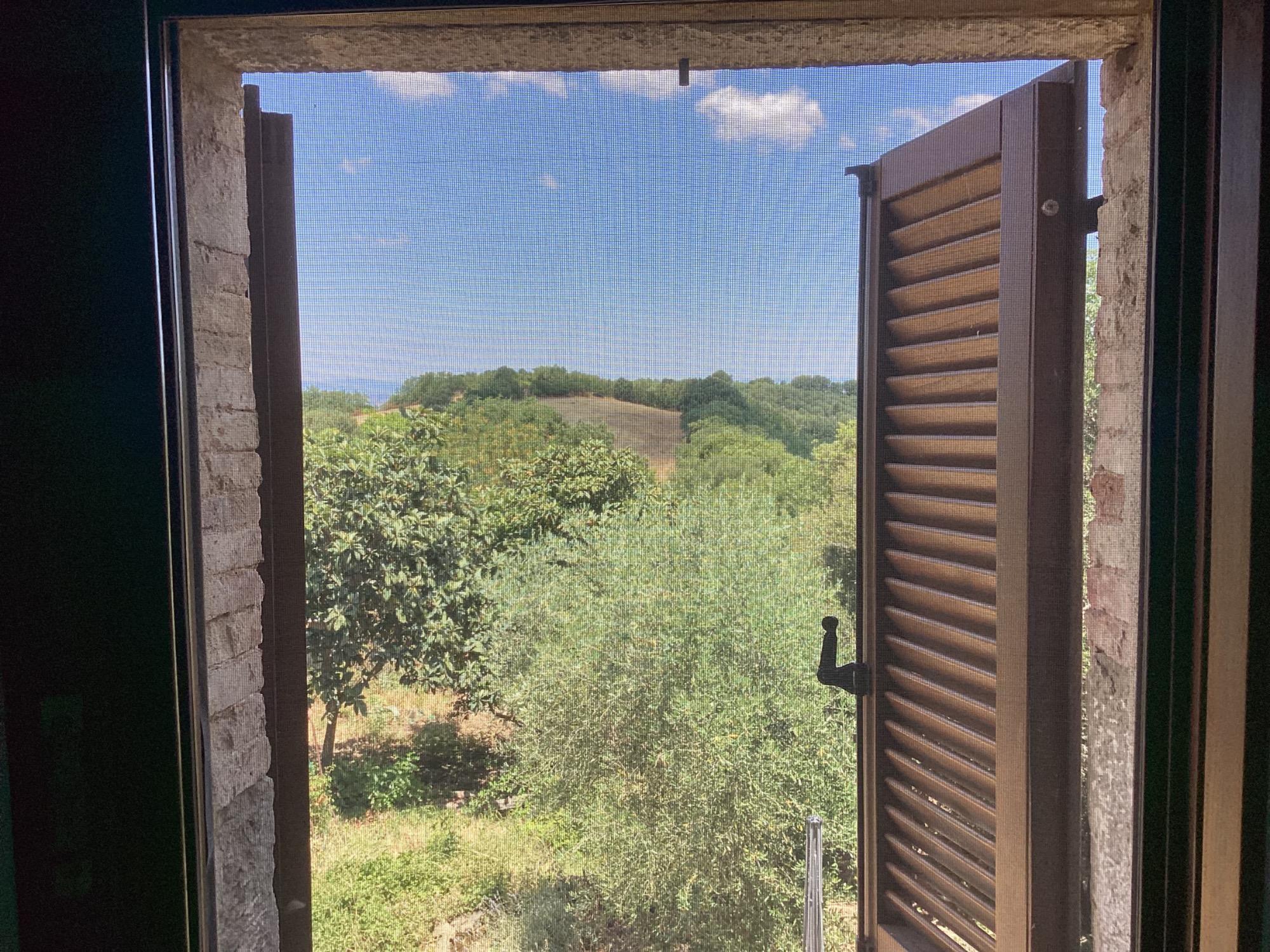 Room b&b Image
