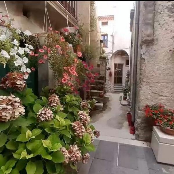  A Casa Di Nonna Peppina