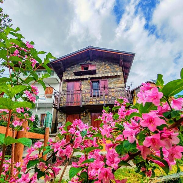  Maison Des Chats