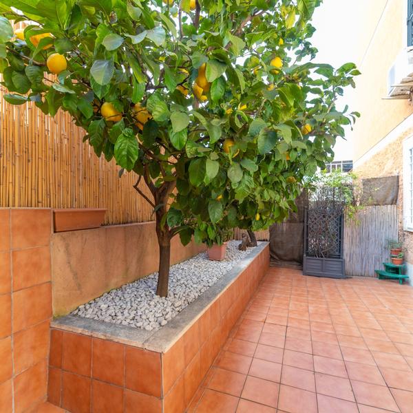  Lemon House
