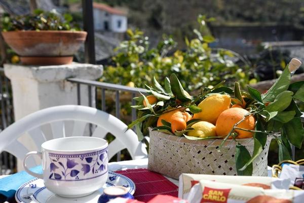 Narciso B&B