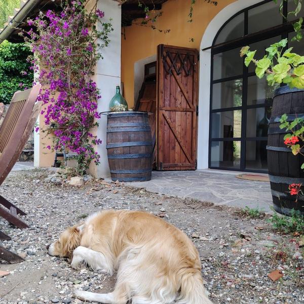  Agriturismo Poggio Degli Allocchi