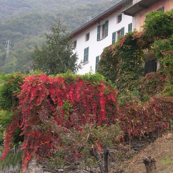  B&B La Casa Delle Rondini