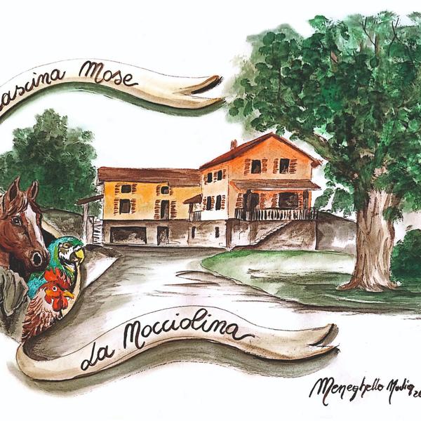  La Nocciolina Cascina Mosè Holiday Rentals
