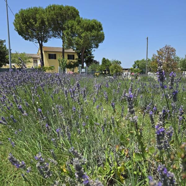  Casale B&B Di Carla