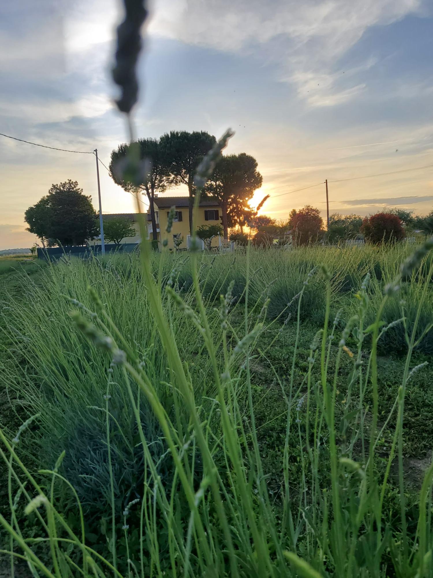 Vista esterna