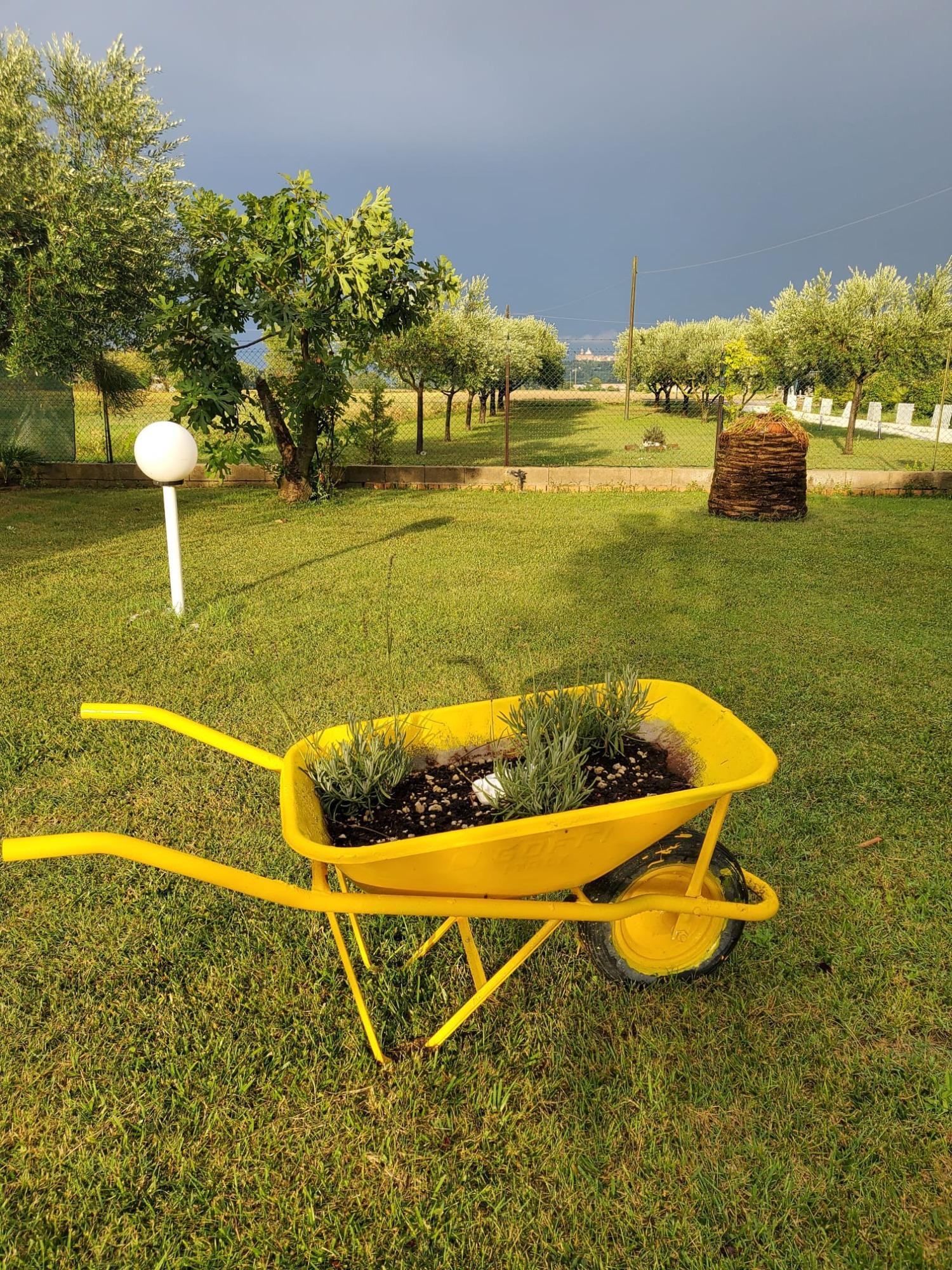 Giardino