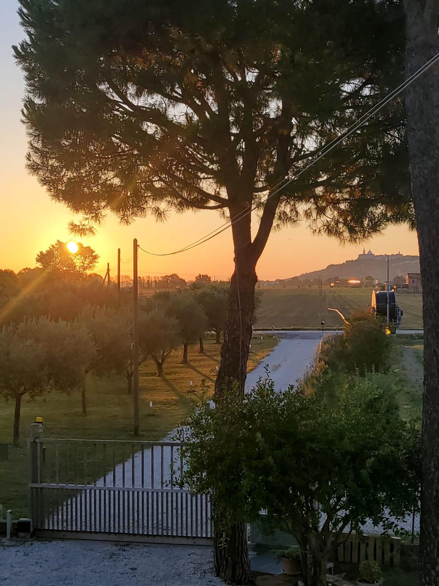 Vista esterna