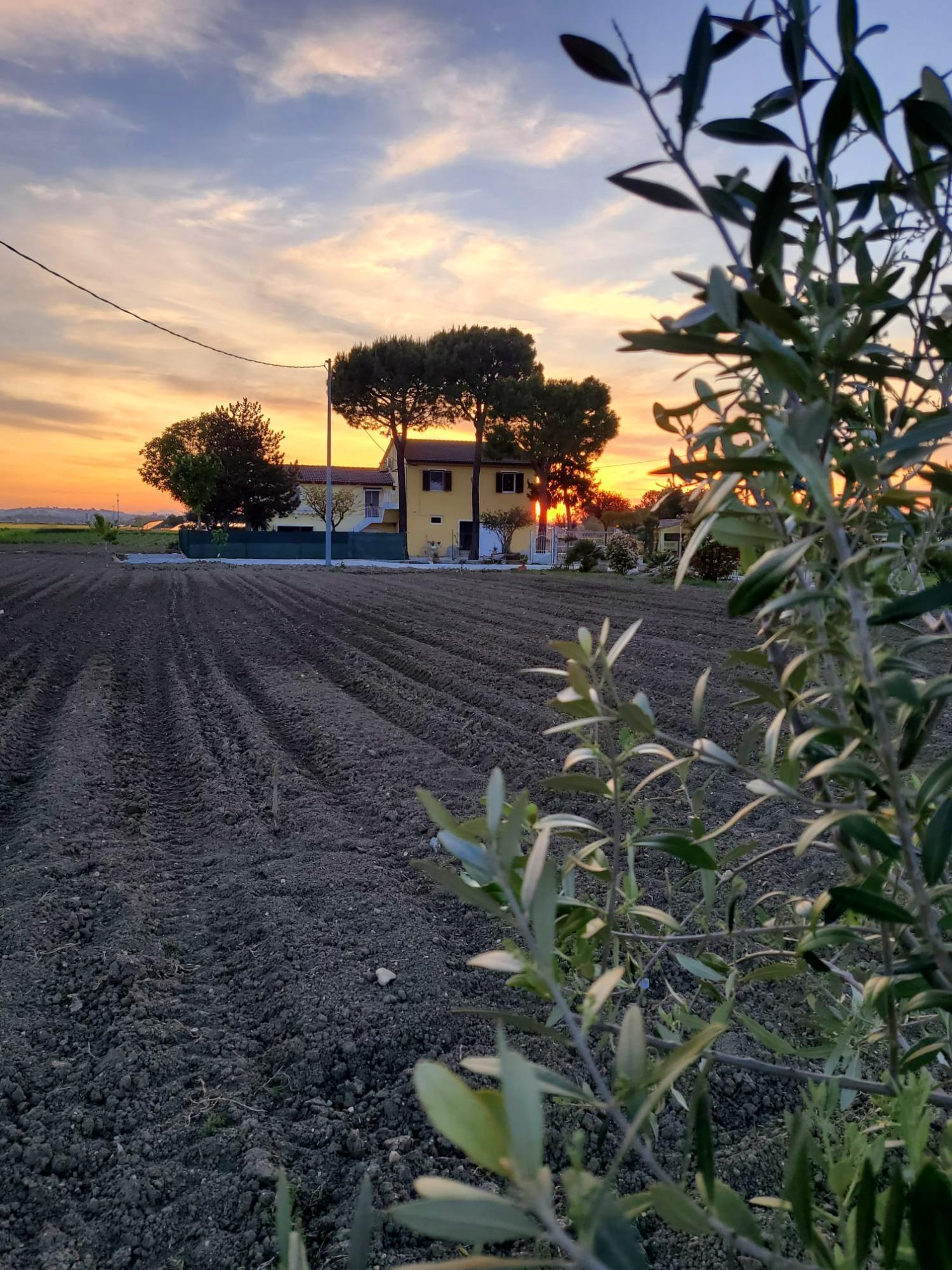 Vista esterna