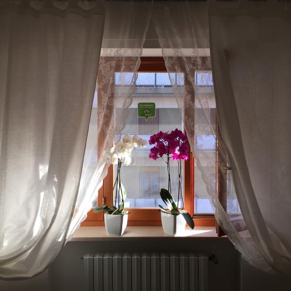  B&B Le Saline