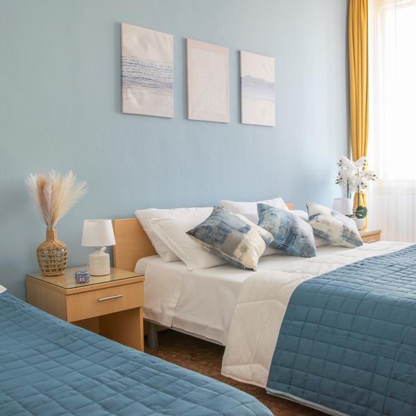 actinia accommodation