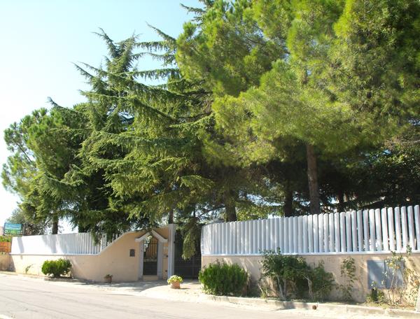 Villa Pini D Abruzzo Chieti Villa Pini D Abruzzo Chieti