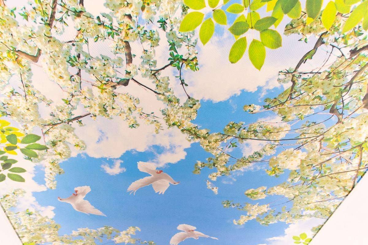 Preload Background