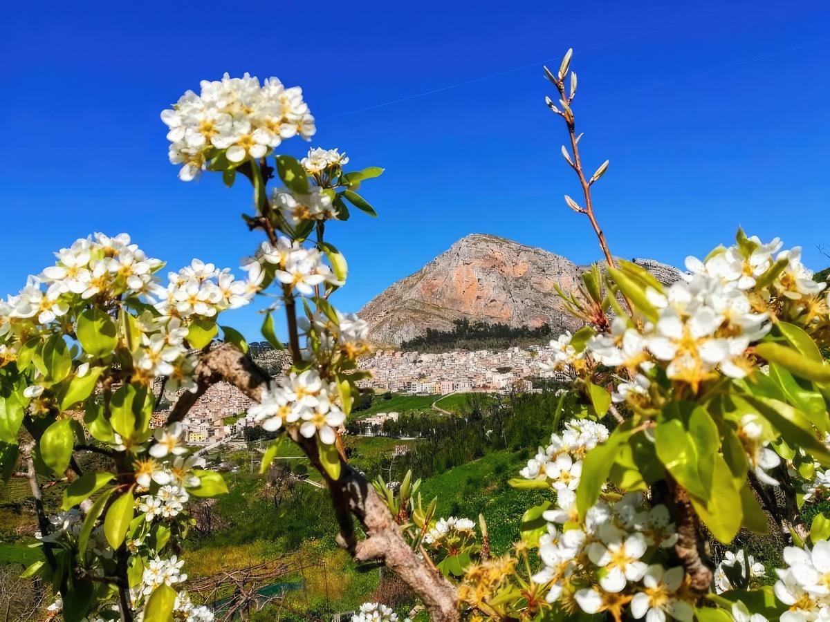 Vista panoramica di Caltavuturo