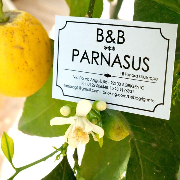 b&b parnasus