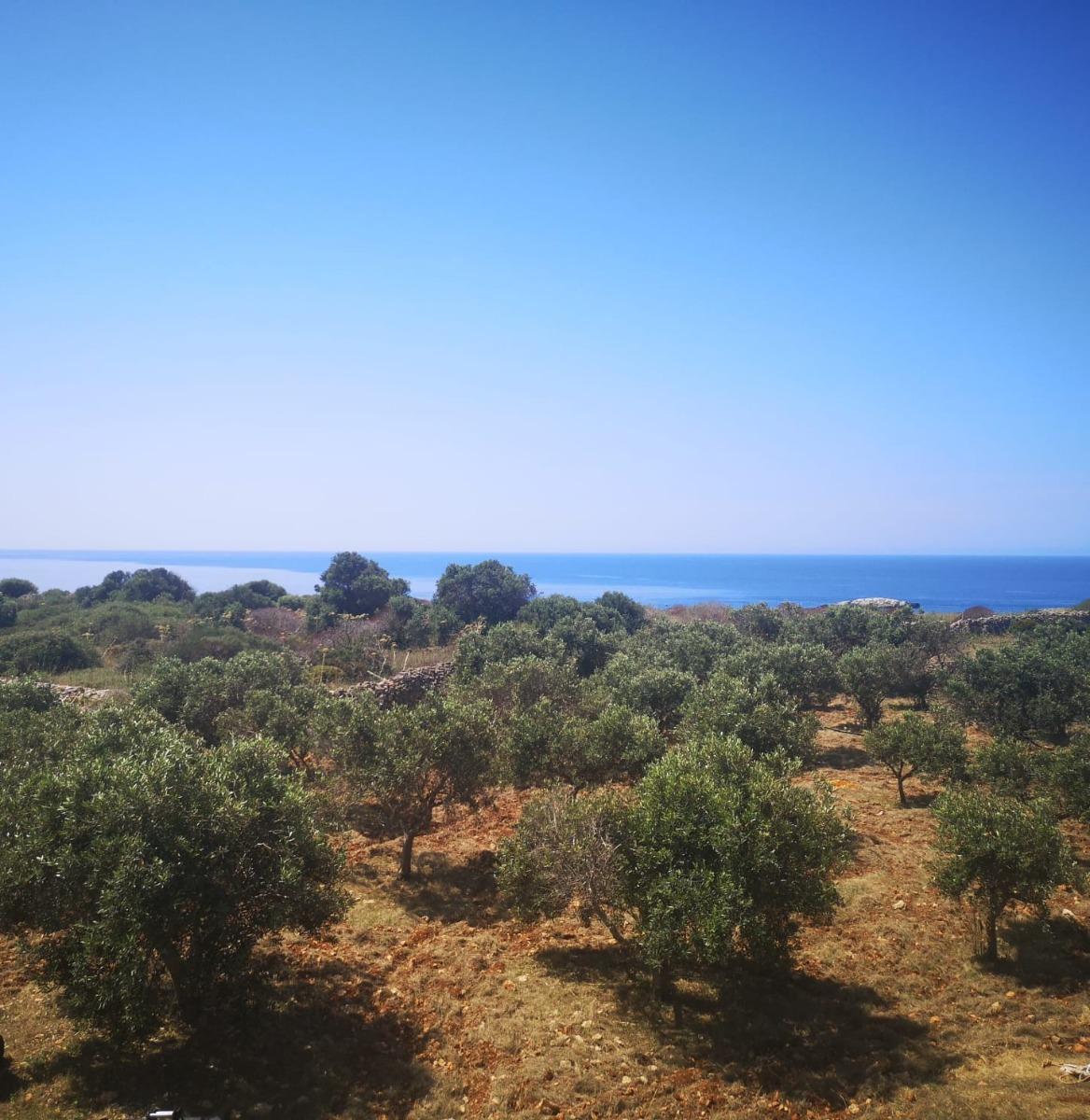 vista mare dal terrazzo