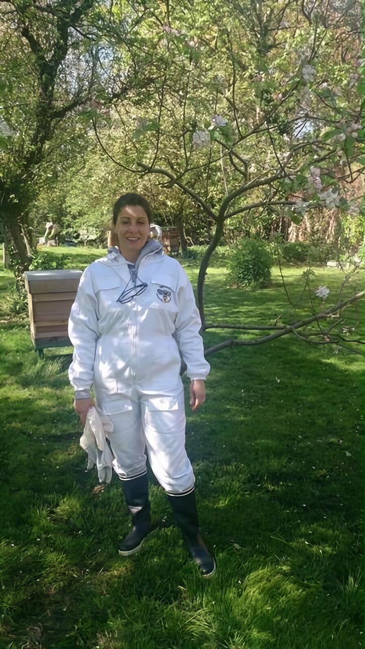 Esperienze in apiario