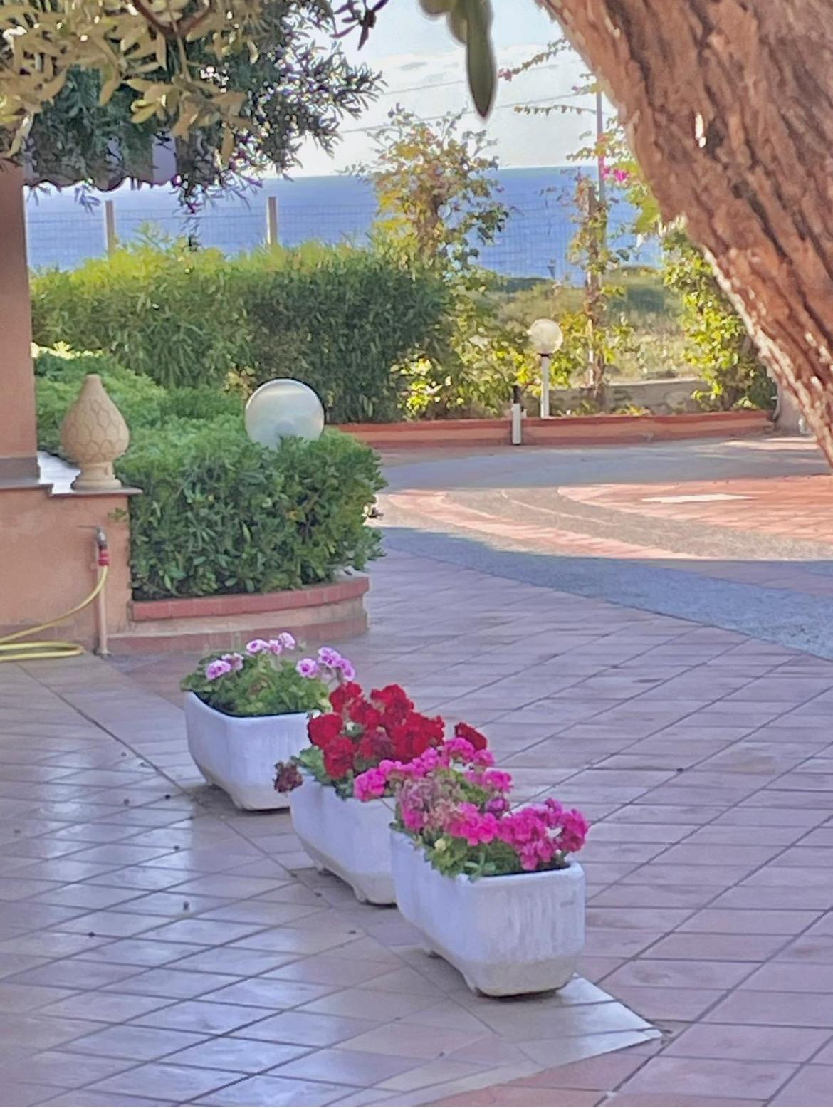 Fiorella