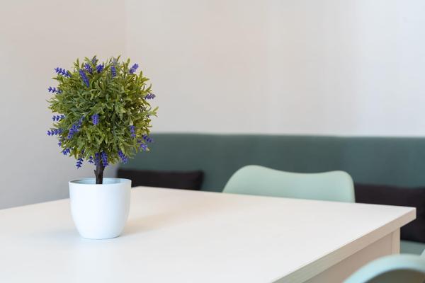 La Casa all'Angolo