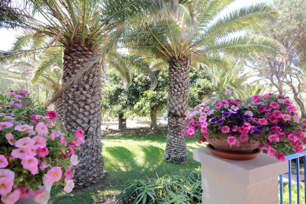 Villa delle Terrazze