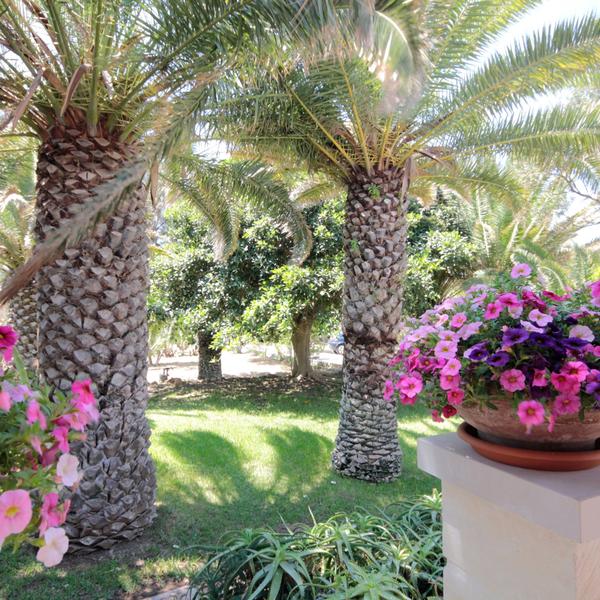  Villa Delle Terrazze