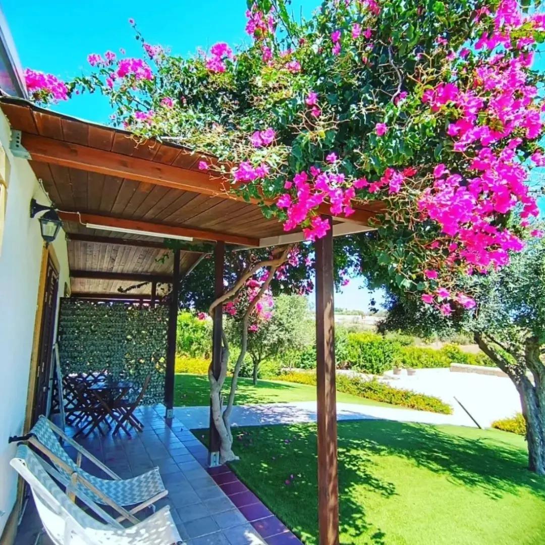 Giardino Appartamento