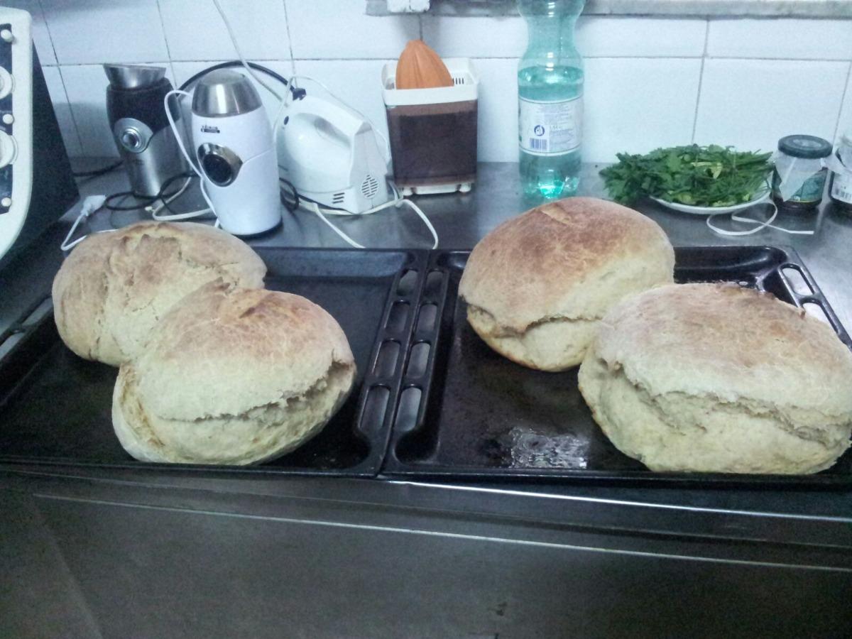 sicilian wheat bread