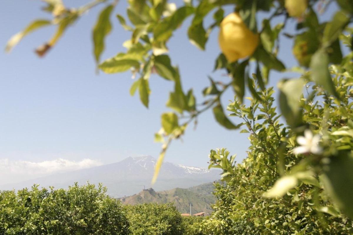 Vista dell'Etna