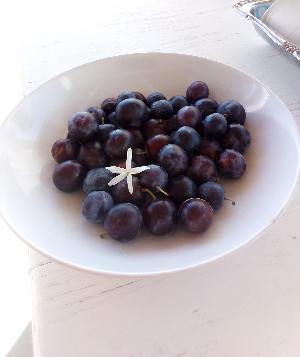 La colazione di B&B DA SABINA