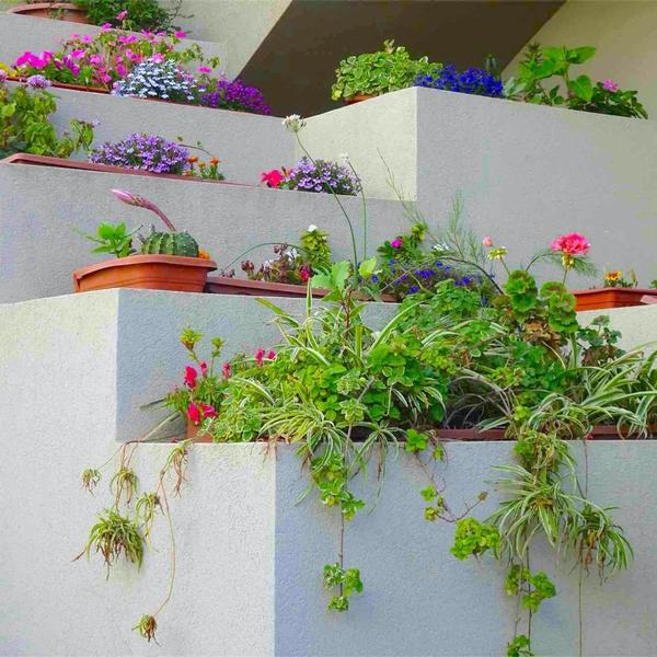 Il Giardino Di Enea