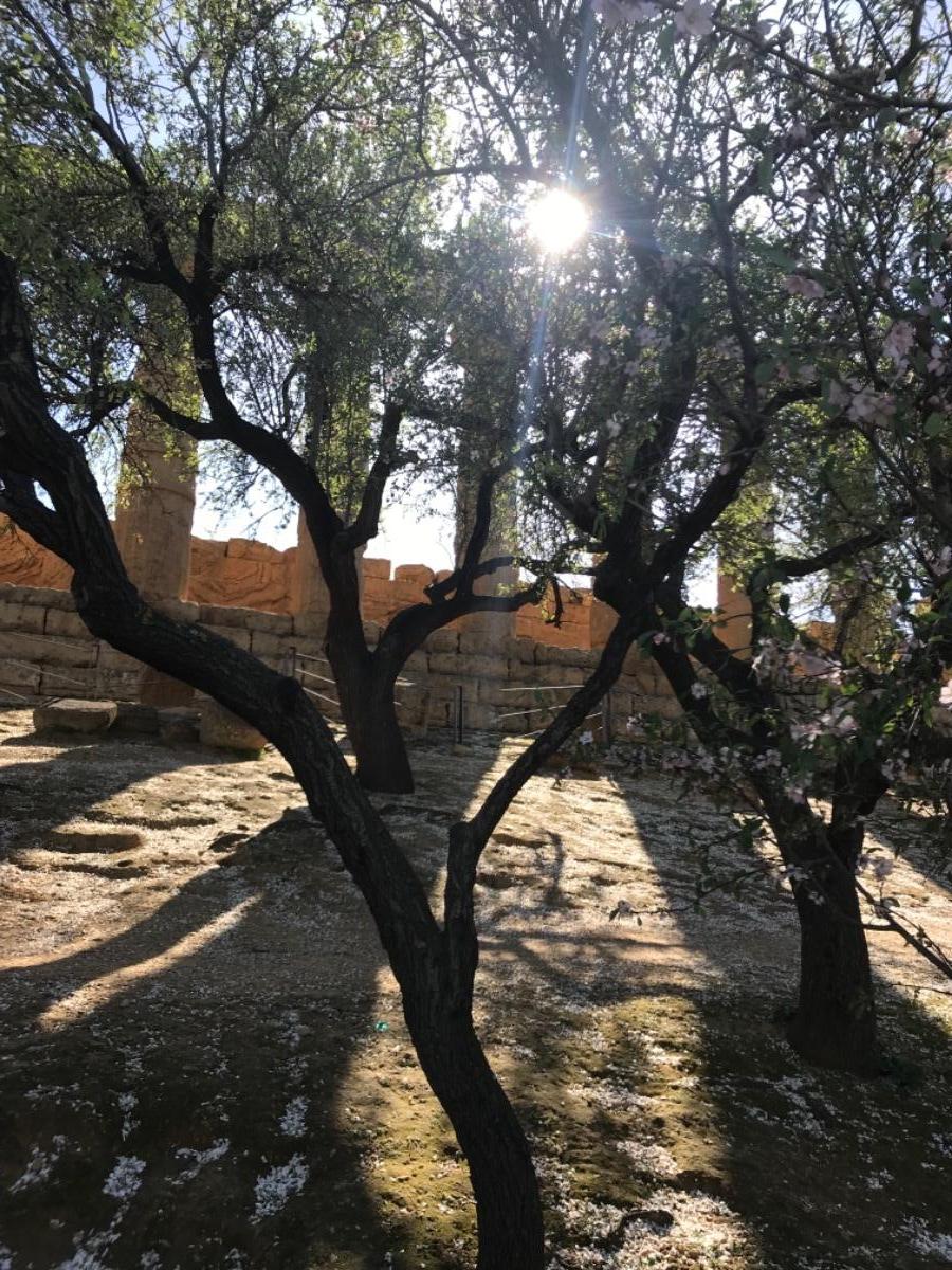 Tempio di Giunone, Valle dei templi