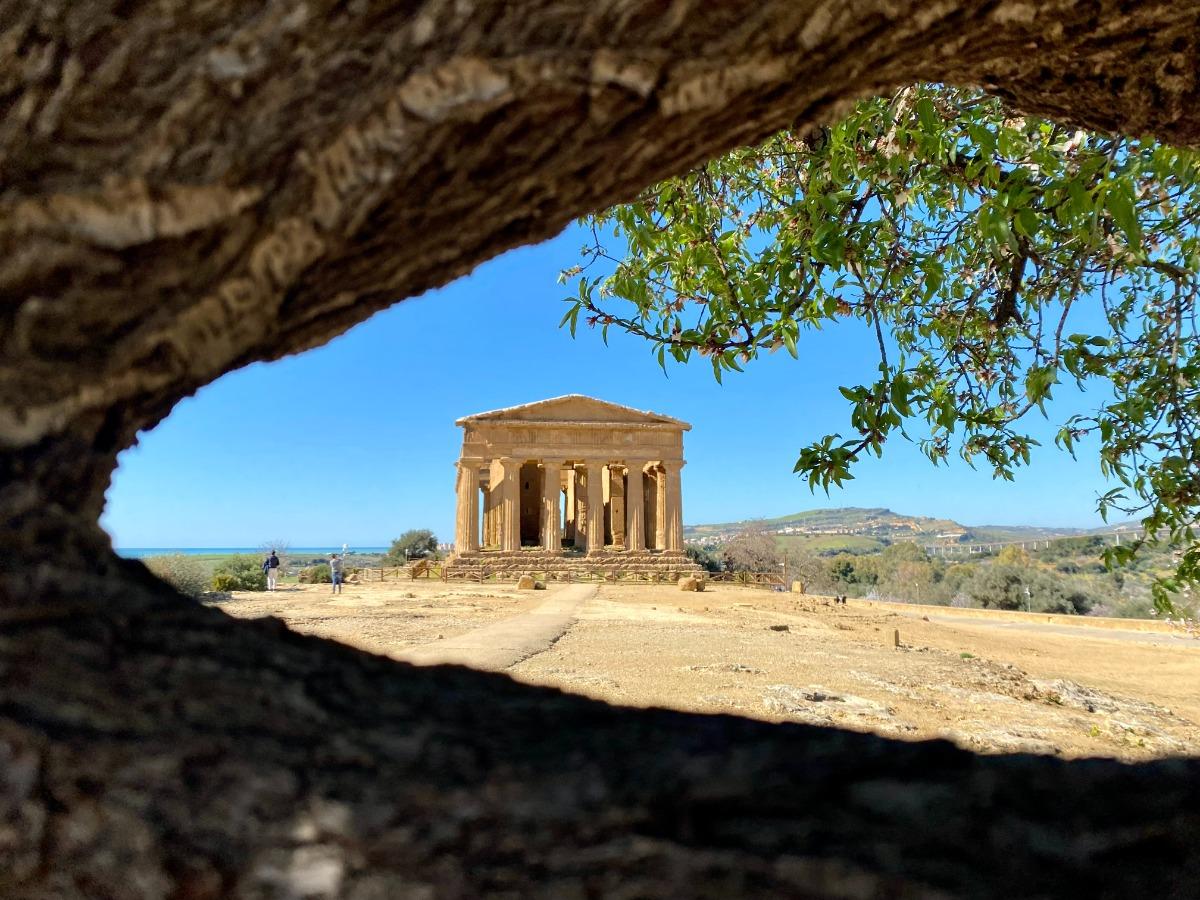 Tempio della Concordia, Valle dei Templi
