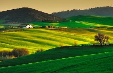 Dove pubblicizzare un agriturismo online: siti, costi e vantaggi a confronto