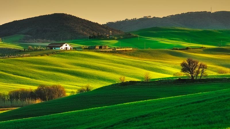 Dove pubblicizzare un agriturismo online: siti, costi e vantaggi a confronto