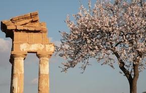 Sagra del Mandorlo in Fiore di Agrigento