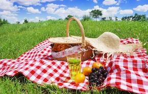 È tempo di: Picnic di Primavera!