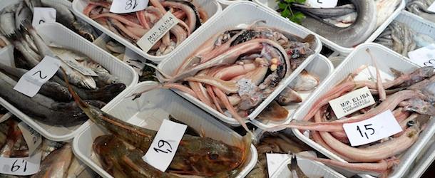 Slow Fish e Girobotteghe. A Genova si impara assaggiando
