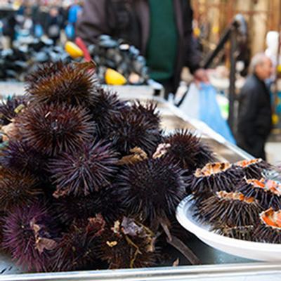 Il mercato del pesce di Catania
