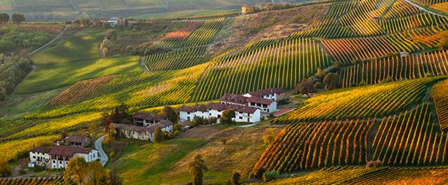 Alba, i tartufi e le Langhe