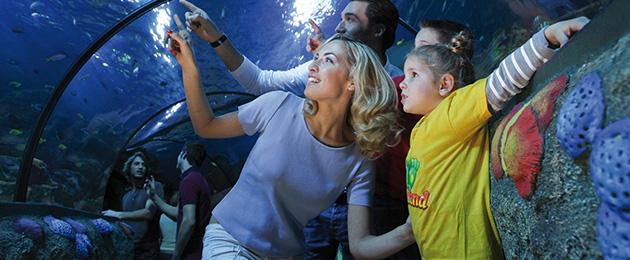 Capodanno al parco divertimenti: gli eventi più festosi per tutta la famiglia.