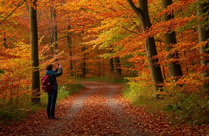 Foliage in Italia: dove ammirare lo spettacolo dell’autunno