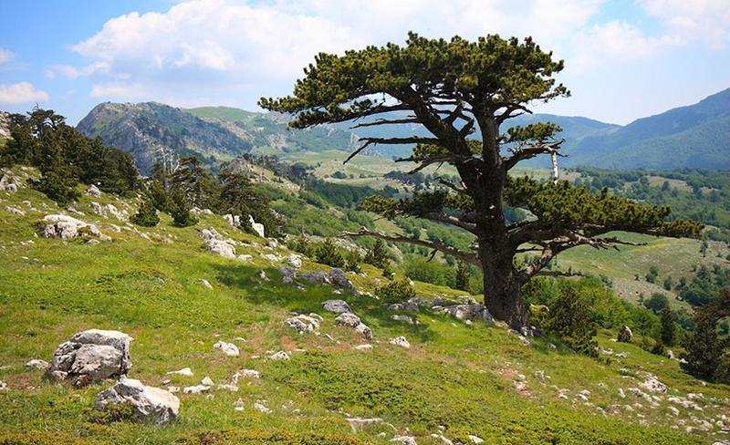 Parco nazionale del Pollino