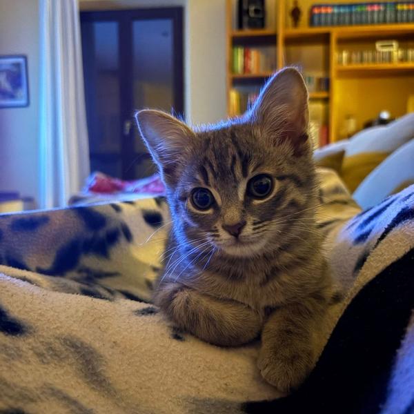 patrizia