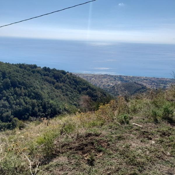 biagio